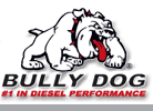 Bully Dog
